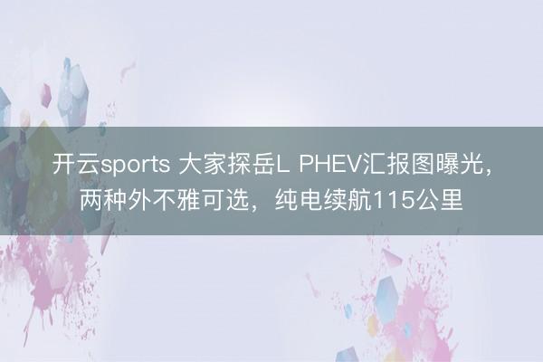 开云sports 大家探岳L PHEV汇报图曝光，两种外不雅可选，纯电续航115公里