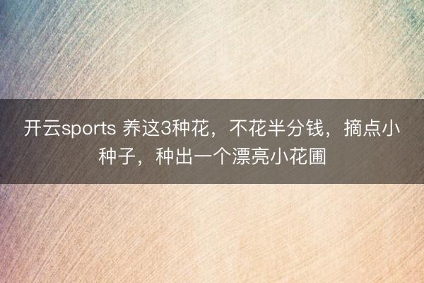 开云sports 养这3种花，不花半分钱，摘点小种子，种出一个漂亮小花圃