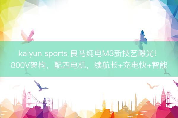 kaiyun sports 良马纯电M3新技艺曝光! 800V架构，配四电机，续航长+充电快+智能