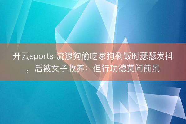 开云sports 流浪狗偷吃家狗剩饭时瑟瑟发抖,后被女子收养:但行功德莫问前景