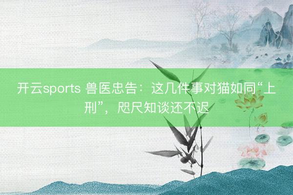 开云sports 兽医忠告：这几件事对猫如同“上刑”，咫尺知谈还不迟