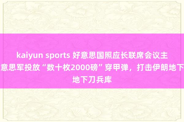 kaiyun sports 好意思国照应长联席会议主席：好意思军投放“数十枚2000磅”穿甲弹，打击伊朗地下刀兵库