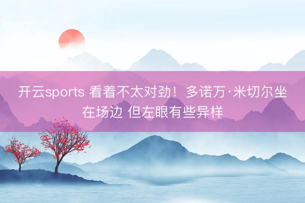 开云sports 看着不太对劲！多诺万·米切尔坐在场边 但左眼有些异样