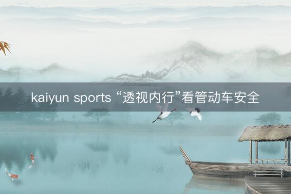 kaiyun sports “透视内行”看管动车安全
