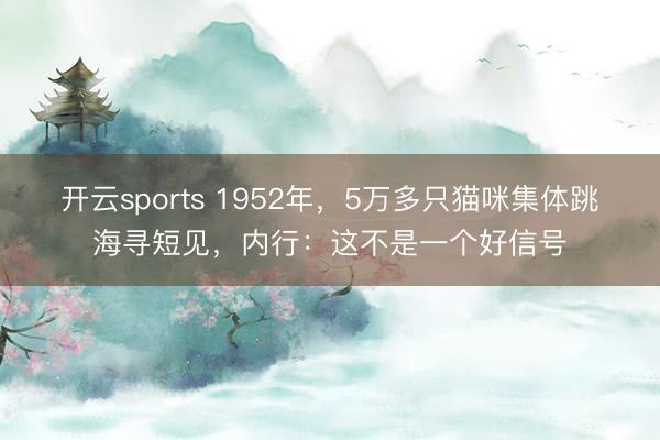开云sports 1952年，5万多只猫咪集体跳海寻短见，内行：这不是一个好信号