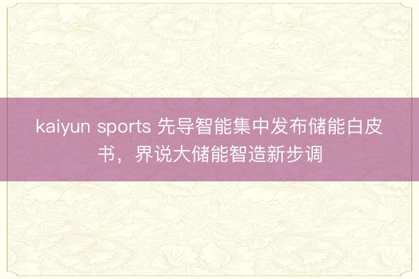 kaiyun sports 先导智能集中发布储能白皮书，界说大储能智造新步调