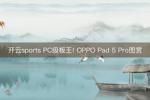 开云sports PC级板王! OPPO Pad 5 Pro图赏
