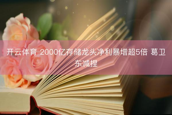 开云体育 2000亿存储龙头净利暴增超5倍 葛卫东减捏