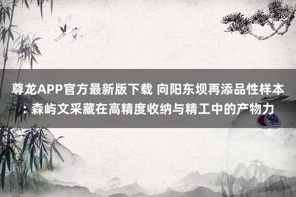 尊龙APP官方最新版下载 向阳东坝再添品性样本: 森屿文采藏在高精度收纳与精工中的产物力