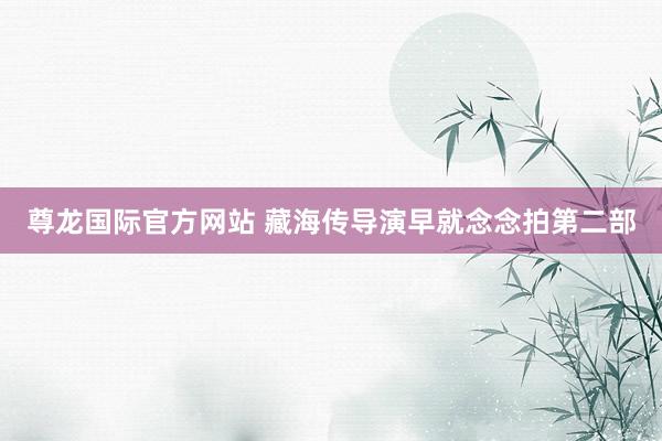 尊龙国际官方网站 藏海传导演早就念念拍第二部