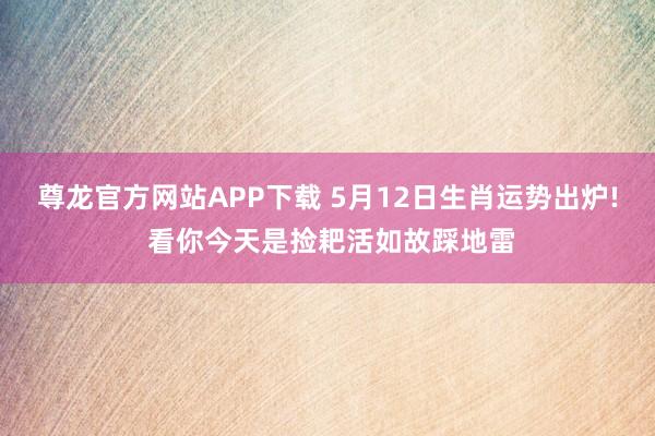 尊龙官方网站APP下载 5月12日生肖运势出炉! 看你今天是捡耙活如故踩地雷
