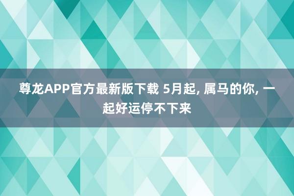 尊龙APP官方最新版下载 5月起， 属马的你， 一起好运停不下来
