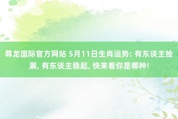 尊龙国际官方网站 5月11日生肖运势: 有东谈主捡漏， 有东谈主稳起， 快来看你是哪种!