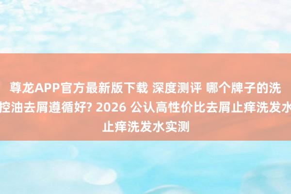 尊龙APP官方最新版下载 深度测评 哪个牌子的洗发水控油去屑遵循好? 2026 公认高性价比去屑止痒洗发水实测