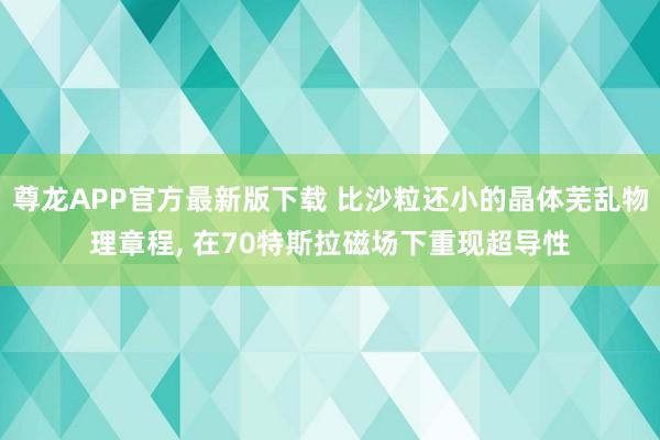 尊龙APP官方最新版下载 比沙粒还小的晶体芜乱物理章程， 在70特斯拉磁场下重现超导性