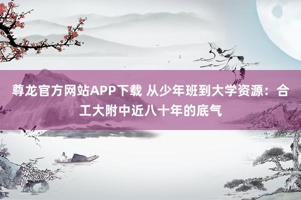 尊龙官方网站APP下载 从少年班到大学资源:合工大附中近八十年的底气