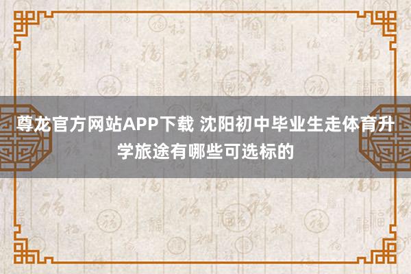 尊龙官方网站APP下载 沈阳初中毕业生走体育升学旅途有哪些可选标的