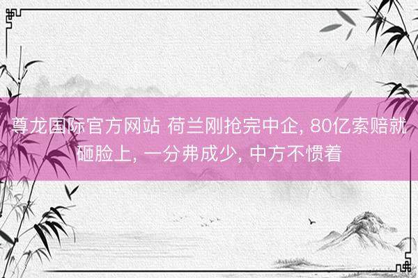 尊龙国际官方网站 荷兰刚抢完中企， 80亿索赔就砸脸上， 一分弗成少， 中方不惯着