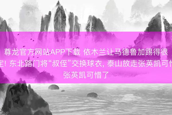 尊龙官方网站APP下载 依木兰让马德鲁加踢得很镇定! 东北路门将“叔侄”交换球衣, 泰山放走张英凯可惜了