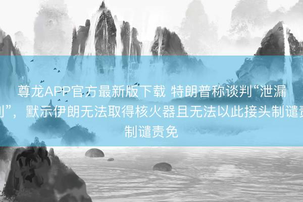 尊龙APP官方最新版下载 特朗普称谈判“泄漏顺利”，默示伊朗无法取得核火器且无法以此接头制谴责免