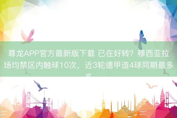 尊龙APP官方最新版下载 已在好转？穆西亚拉场均禁区内触球10次，近3轮德甲造4球同期最多