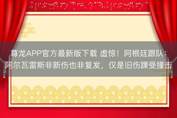 尊龙APP官方最新版下载 虚惊！阿根廷跟队：阿尔瓦雷斯非新伤也非复发，仅是旧伤踝受撞击
