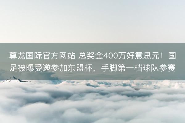 尊龙国际官方网站 总奖金400万好意思元！国足被曝受邀参加东盟杯，手脚第一档球队参赛