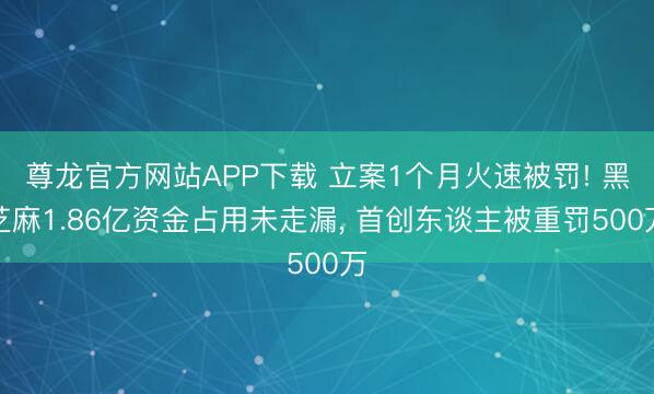 尊龙官方网站APP下载 立案1个月火速被罚! 黑芝麻1.86亿资金占用未走漏， 首创东谈主被重罚500万