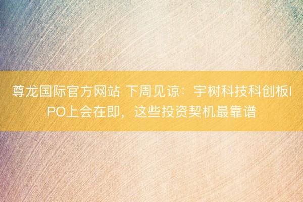 尊龙国际官方网站 下周见谅:宇树科技科创板IPO上会在即,这些投资契机最靠谱