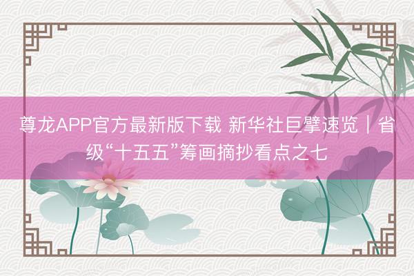 尊龙APP官方最新版下载 新华社巨擘速览｜省级“十五五”筹画摘抄看点之七