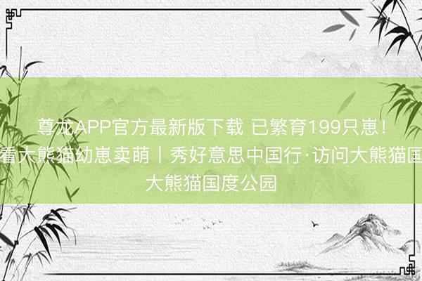尊龙APP官方最新版下载 已繁育199只崽！来卧龙看大熊猫幼崽卖萌丨秀好意思中国行·访问大熊猫国度公园