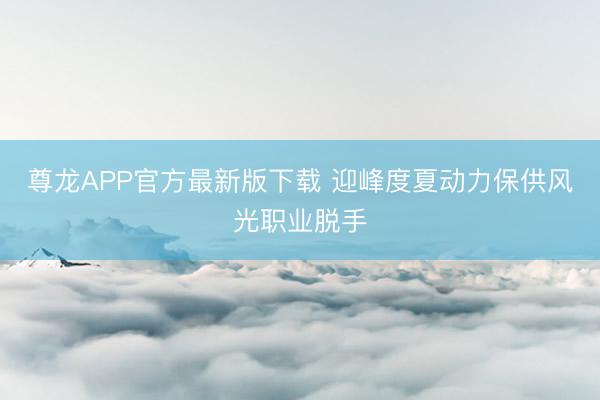 尊龙APP官方最新版下载 迎峰度夏动力保供风光职业脱手