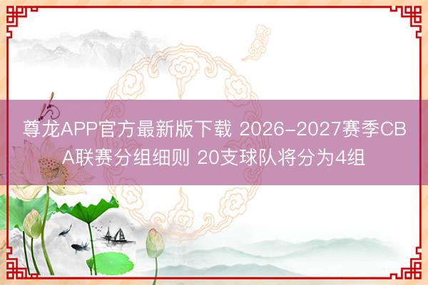 尊龙APP官方最新版下载 2026-2027赛季CBA联赛分组细则 20支球队将分为4组