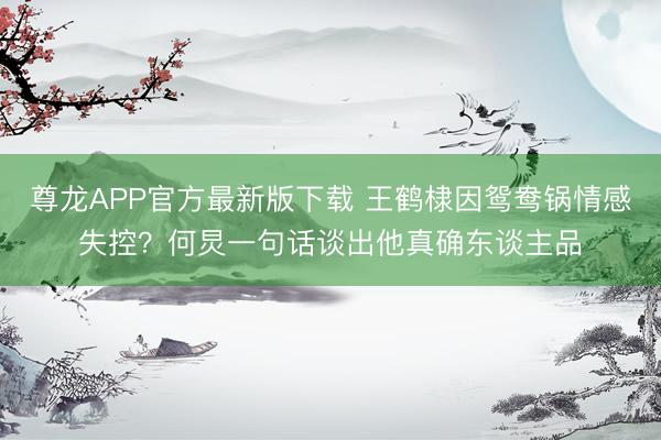 尊龙APP官方最新版下载 王鹤棣因鸳鸯锅情感失控？何炅一句话谈出他真确东谈主品