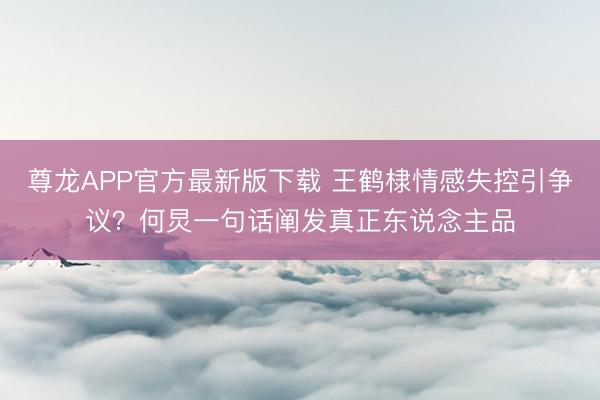 尊龙APP官方最新版下载 王鹤棣情感失控引争议?何炅一句话阐发真正东说念主品