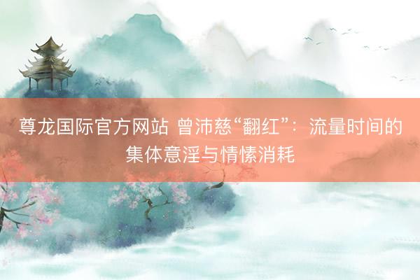 尊龙国际官方网站 曾沛慈“翻红”：流量时间的集体意淫与情愫消耗