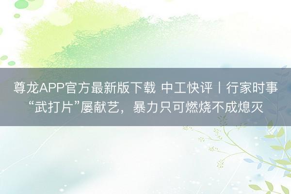 尊龙APP官方最新版下载 中工快评丨行家时事“武打片”屡献艺,暴力只可燃烧不成熄灭