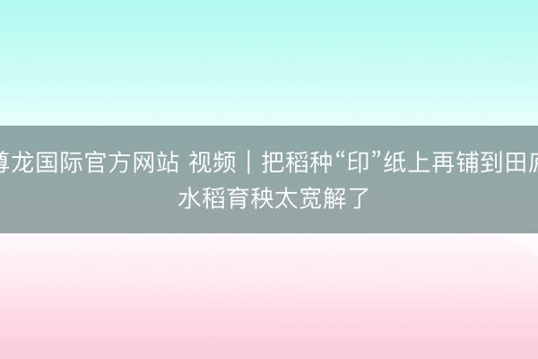 尊龙国际官方网站 视频｜把稻种“印”纸上再铺到田庐 水稻育秧太宽解了