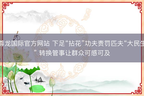 尊龙国际官方网站 下足“拈花”功夫责罚匹夫“大民生” 转换管事让群众可感可及
