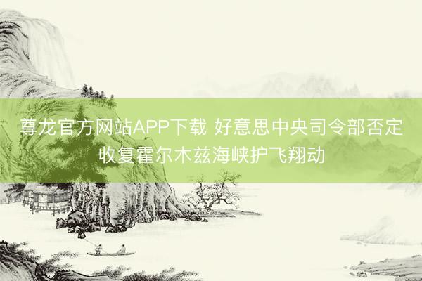 尊龙官方网站APP下载 好意思中央司令部否定收复霍尔木兹海峡护飞翔动