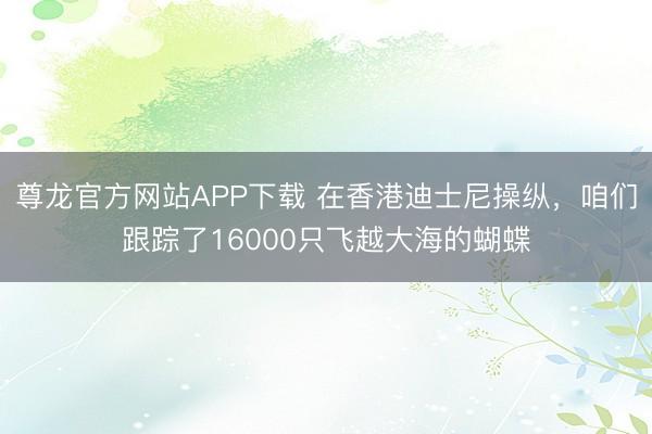 尊龙官方网站APP下载 在香港迪士尼操纵，咱们跟踪了16000只飞越大海的蝴蝶
