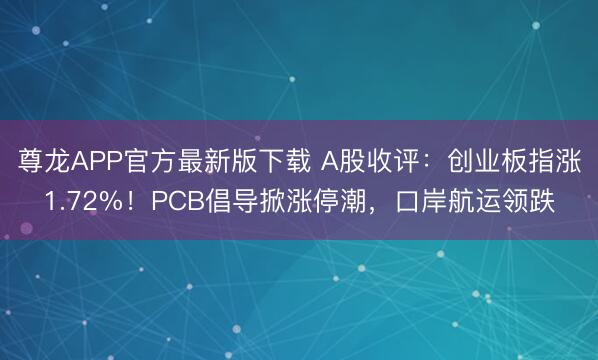 尊龙APP官方最新版下载 A股收评：创业板指涨1.72%！PCB倡导掀涨停潮，口岸航运领跌