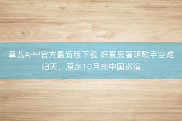 尊龙APP官方最新版下载 好意思著明歌手空难归天，原定10月来中国巡演