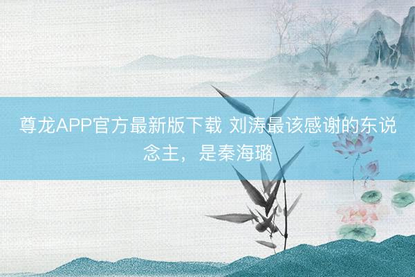 尊龙APP官方最新版下载 刘涛最该感谢的东说念主,是秦海璐